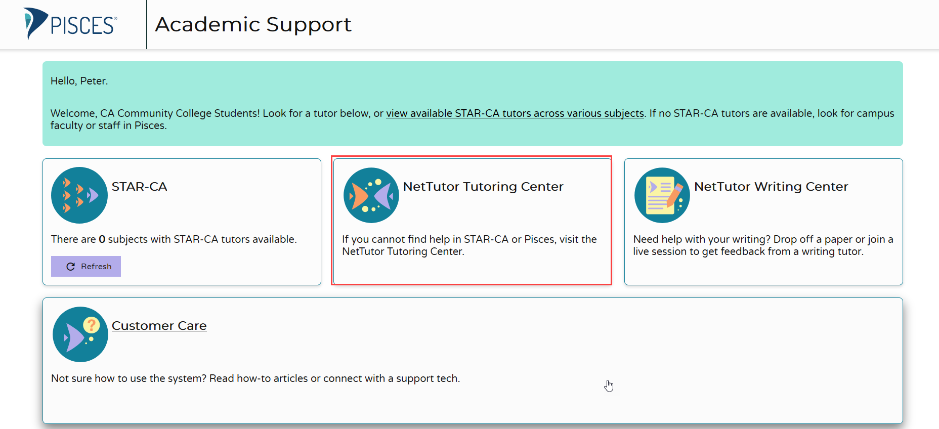 A screenshot of the landing page of the Nettutor page.