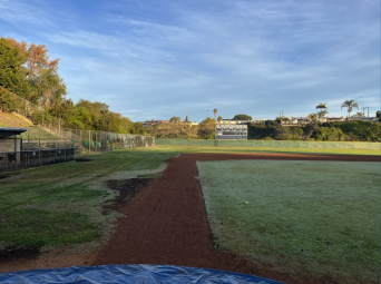 San Diego Mesa College Baseball Net Replacement #1