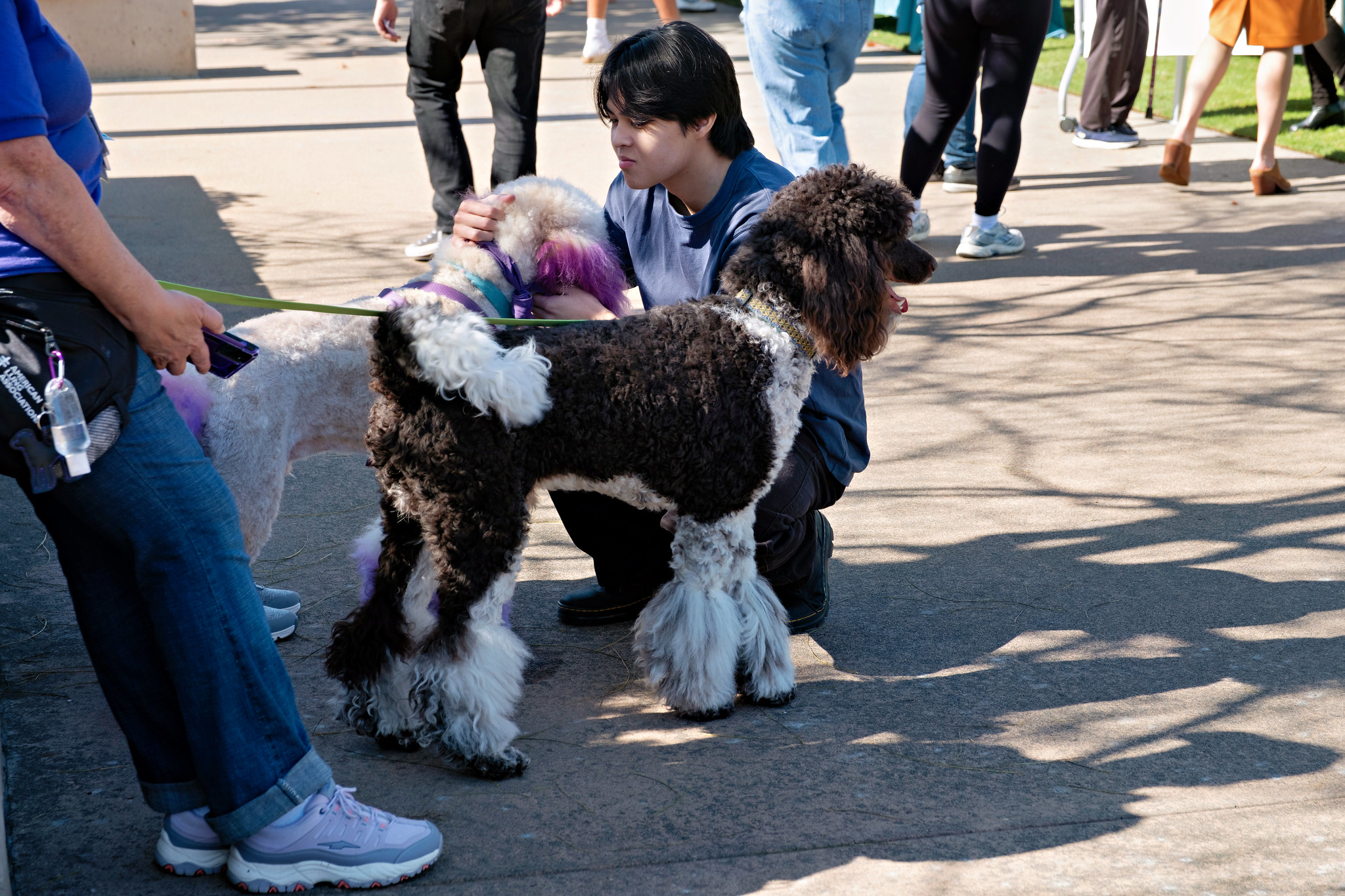 
Three dogs with paws of love were brought to Miramar to welcome students.
